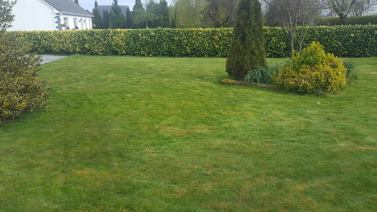 Ely House B&B Shannonbridge Exterior foto